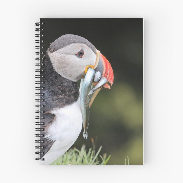 Item preview, Puffin is back from fishing designed and sold by Marion Joncheres.