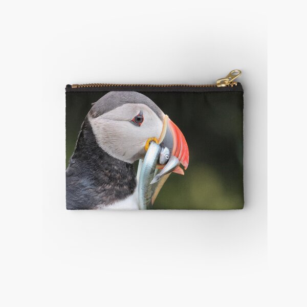 Item preview, Puffin is back from fishing designed and sold by Marion Joncheres.
