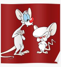 Best Friend Pinky And Brain Poster