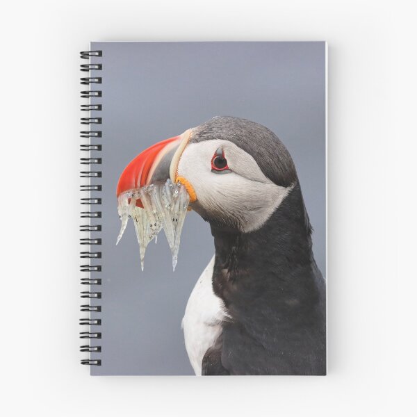 Item preview, Puffin ready to feed the chicks designed and sold by Marion Joncheres.