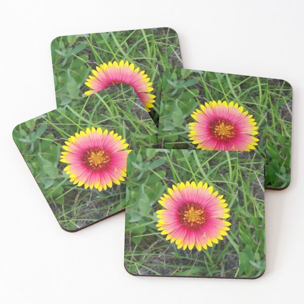 Item preview, brilliant wildflower designed and sold by JupiterAvian.