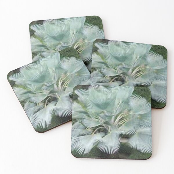 Item preview, Awesome palm-tree  designed and sold by Lan thi Nguyen.