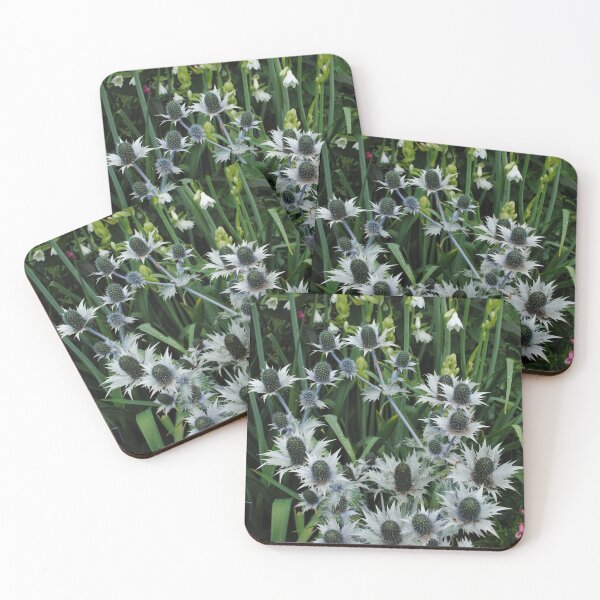 Item preview, Spiky Flowers -Eryngium Gigantean  designed and sold by Justmum63.