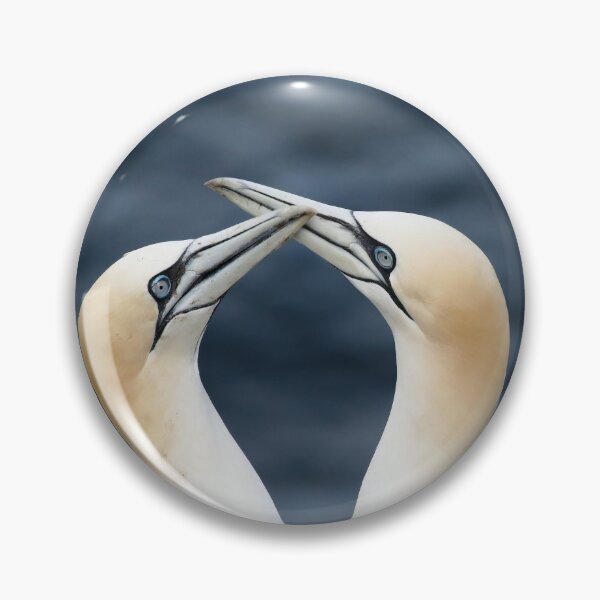 Item preview, Ganet courtship designed and sold by Marion Joncheres.