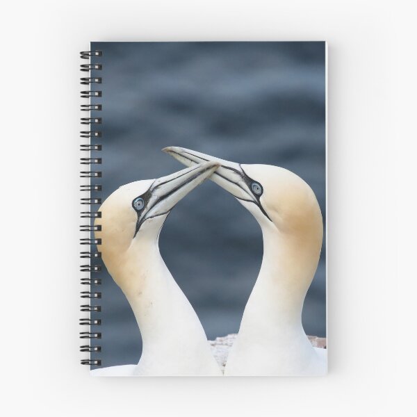 Item preview, Ganet courtship designed and sold by Marion Joncheres.