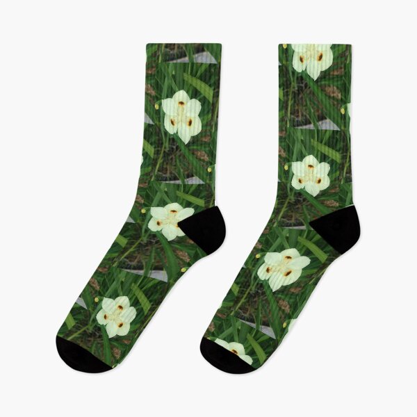 Item preview, striking spotted flower designed and sold by JupiterAvian.