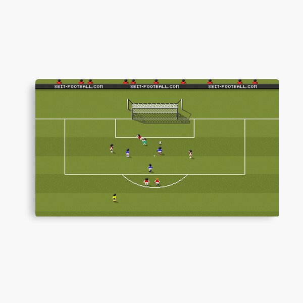 CCup 2011 Canvas Print