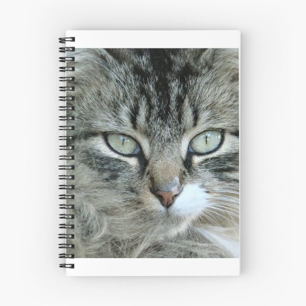 Item preview, Barn Cat~ designed and sold by virginian.