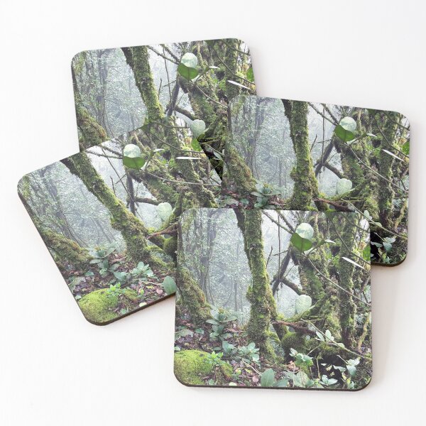Item preview, Mossy Forest in Malaysia designed and sold by VvdVenDesign.