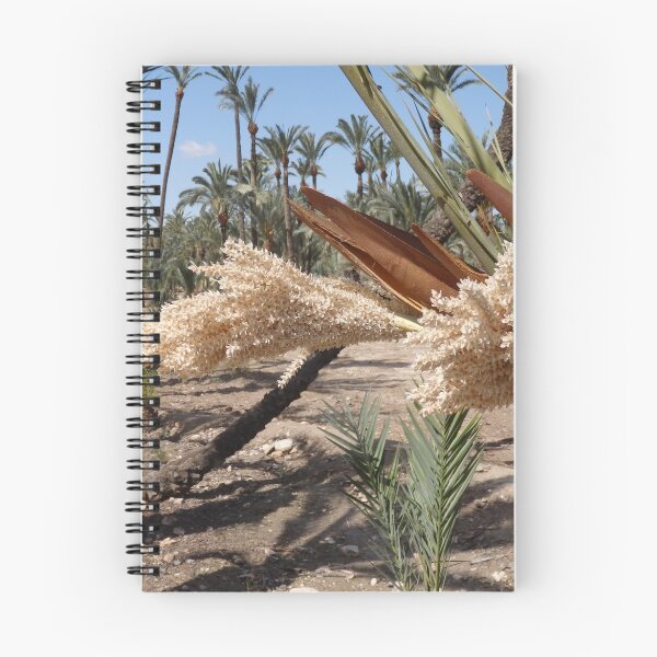 Item preview, El Palmeral, Elche designed and sold by Janone.