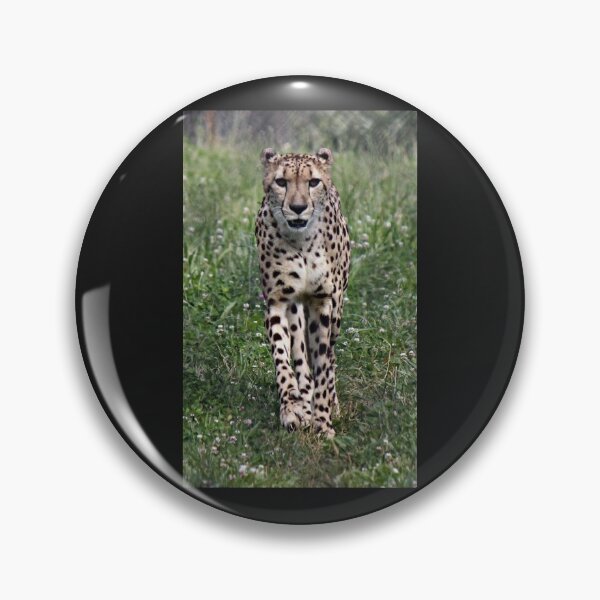 Item preview, Beautiful Cheetah designed and sold by virginian.