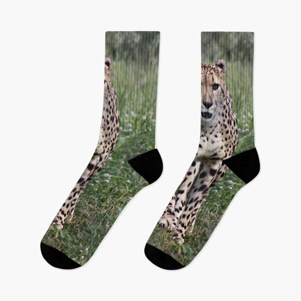 Item preview, Beautiful Cheetah designed and sold by virginian.