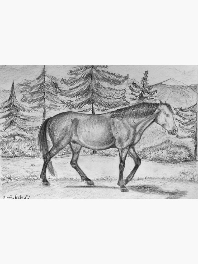 caballo  Horse art drawing, Horse drawings, Pencil art drawings