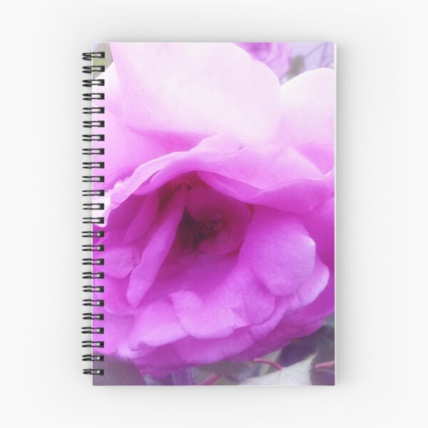 Item preview, *Lovely Lilactime Rose from my Garden* designed and sold by EdsMum.