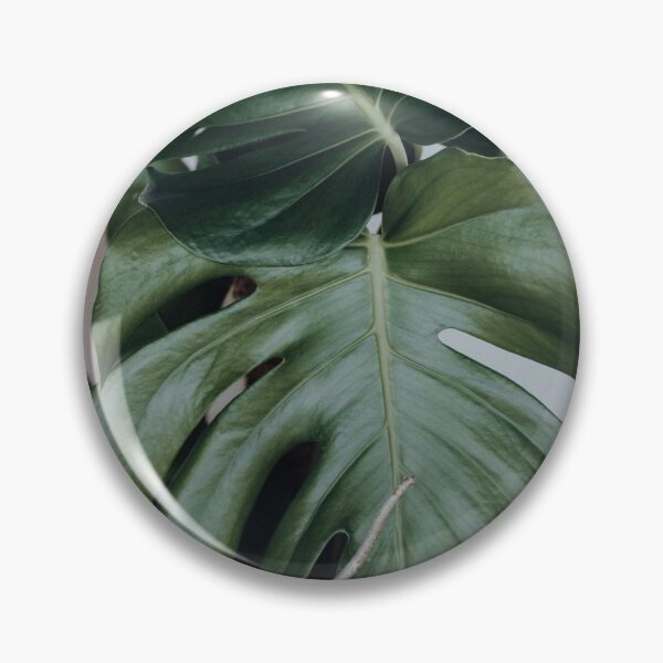 Item preview, Monstera leaf designed and sold by frauleingreenie.