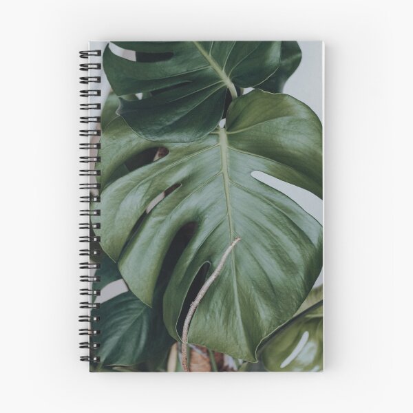 Item preview, Monstera leaf designed and sold by frauleingreenie.