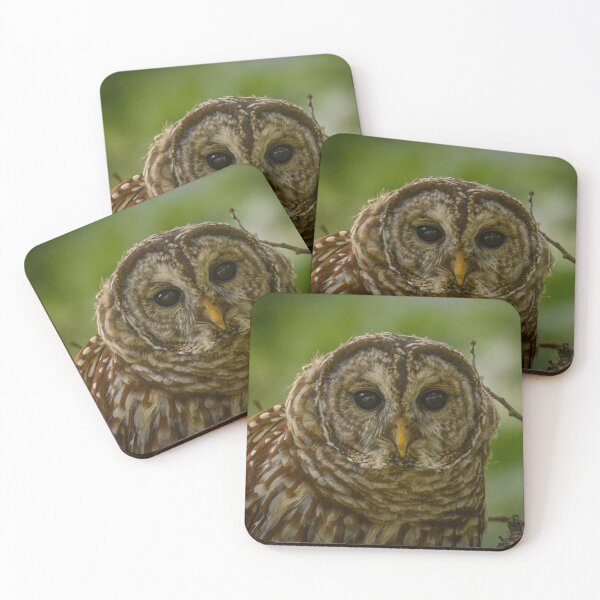 Item preview, barred owl looking ahead in the forest designed and sold by aim4adventure.