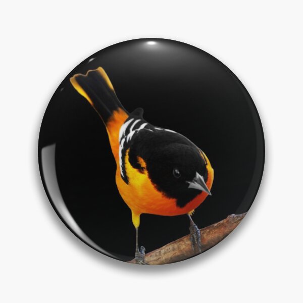 Artikelvorschau, Männlicher Baltimore Oriole entworfen und verkauft von cherylorraine.