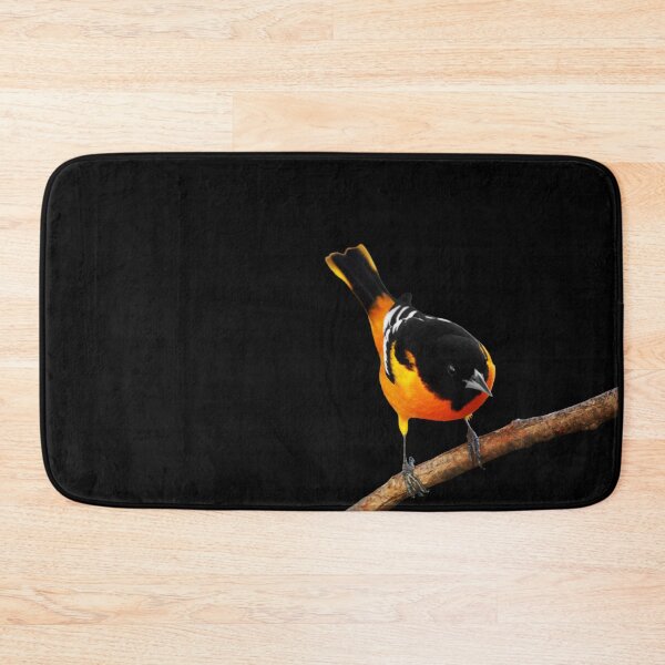 Artikelvorschau, Männlicher Baltimore Oriole entworfen und verkauft von cherylorraine.