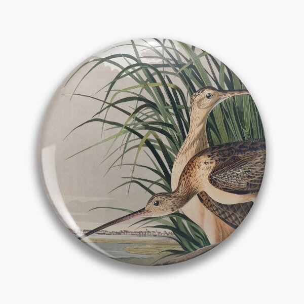 Item preview, Long-Billed Curlew by John James Audubon  designed and sold by redoARTstore.