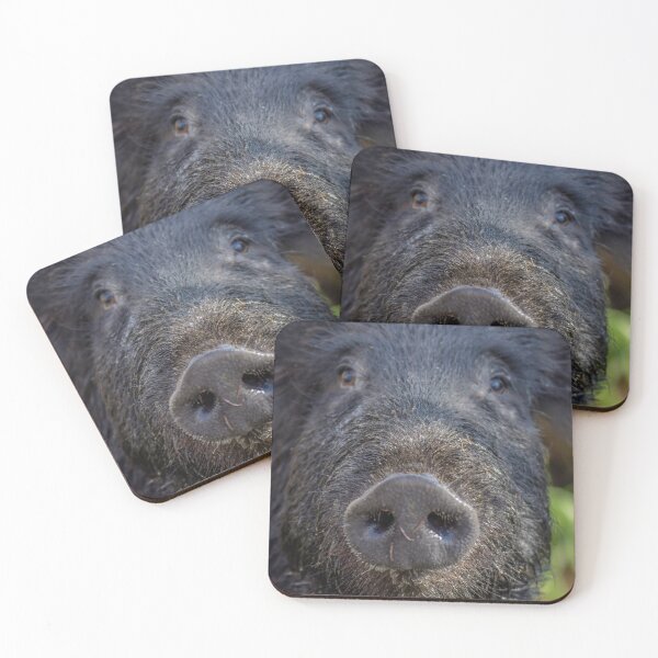 Item preview, wild sow hog closeup portrait  designed and sold by aim4adventure.