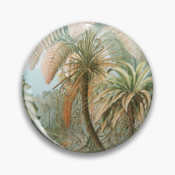 Item preview, Filicinae–Laubfarne by Ernest Haeckel designed and sold by redoARTstore.