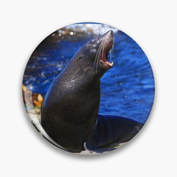 Item preview, New Zealand Fur Seal designed and sold by Phil Le Cren.