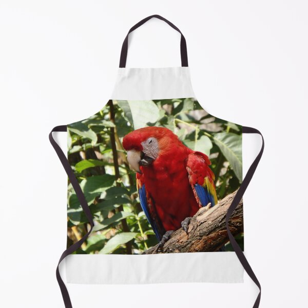 Item preview, Scarlet macaw, (Ara macao) designed and sold by Danler.