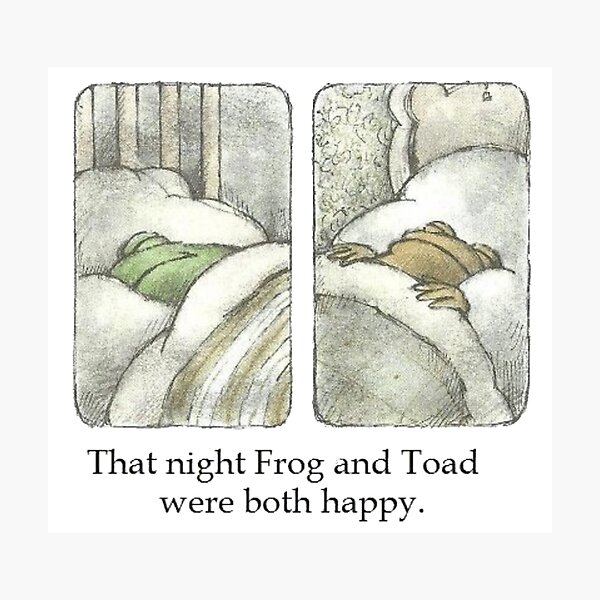 Frog and Toad Artwork Photographic Print
