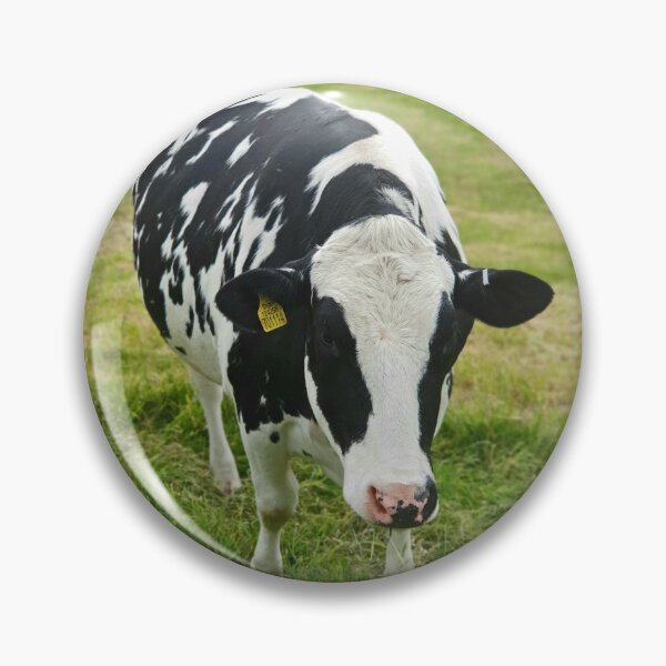 Item preview, Moo Coo designed and sold by Kat Simmons.