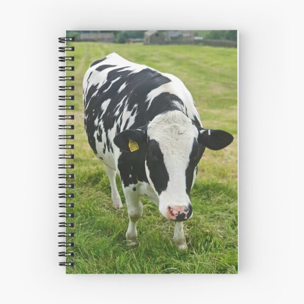 Item preview, Moo Coo designed and sold by Kat Simmons.