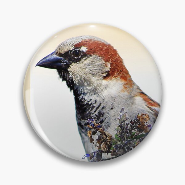 Item preview, House Sparrow (Male) designed and sold by Phil Le Cren.