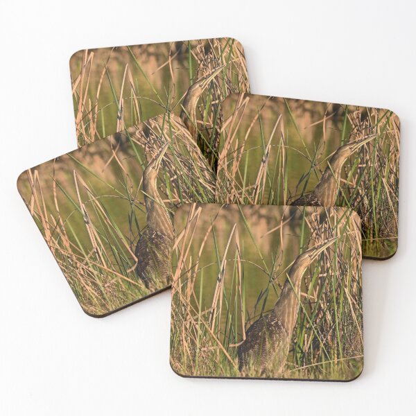 Item preview, american bittern in the marsh designed and sold by aim4adventure.