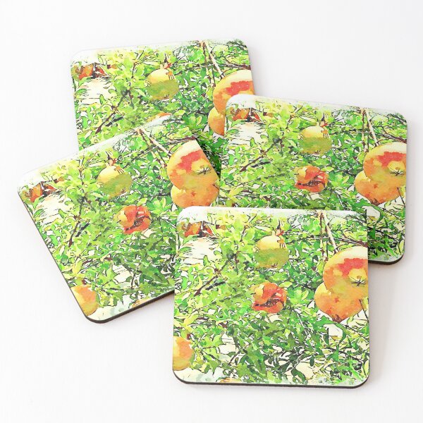 Item preview, Hortus Conclusus: pomegranate tree designed and sold by Giuseppe Cocco.