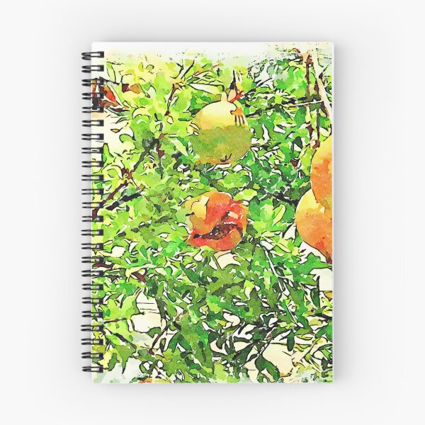 Item preview, Hortus Conclusus: pomegranate tree designed and sold by Giuseppe Cocco.