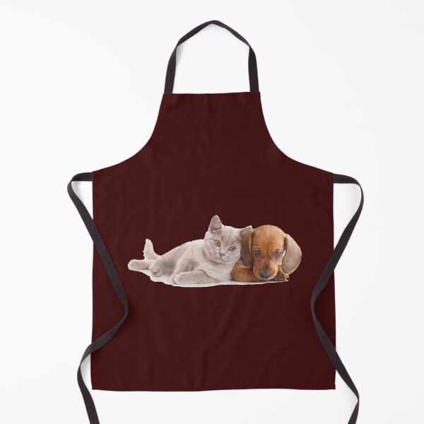 Item preview, Dachshund puppy beside Russian cat, Cat Dog Pet sitting Kitten, Close together dogs and cats designed and sold by amr4874.