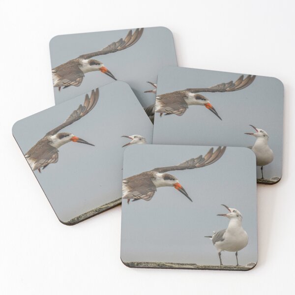 Item preview, a fight between a black skimmer and seagull designed and sold by aim4adventure.