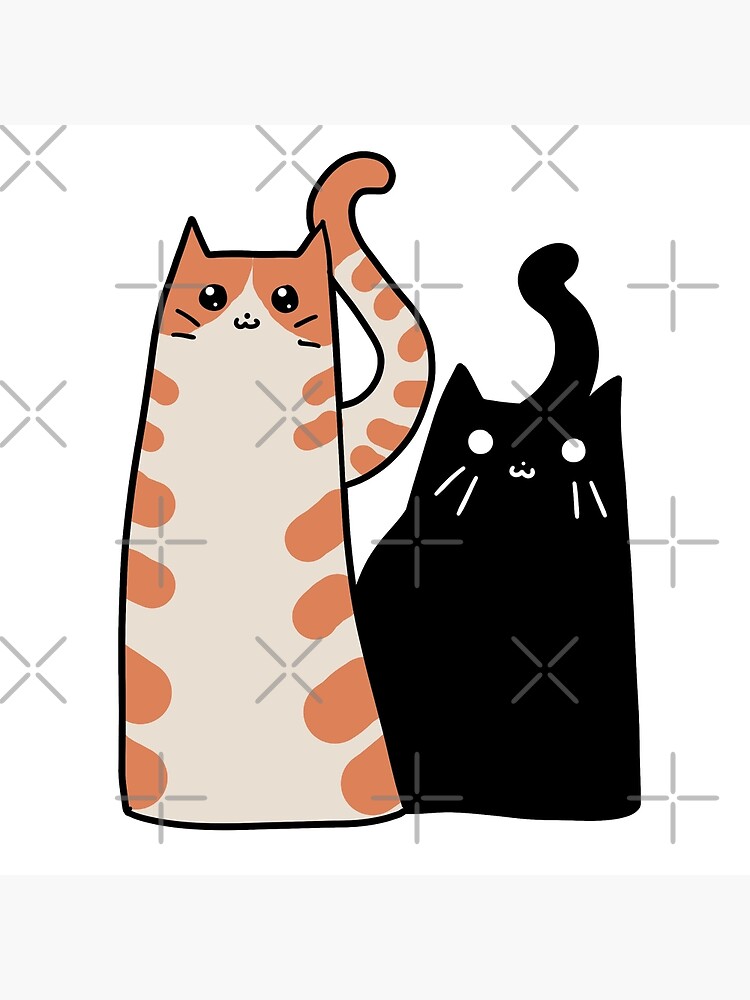 Tabby Cat and Black Cat