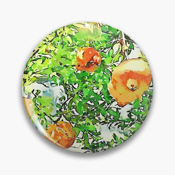 Item preview, Hortus Conclusus: pomegranate tree designed and sold by Giuseppe Cocco.