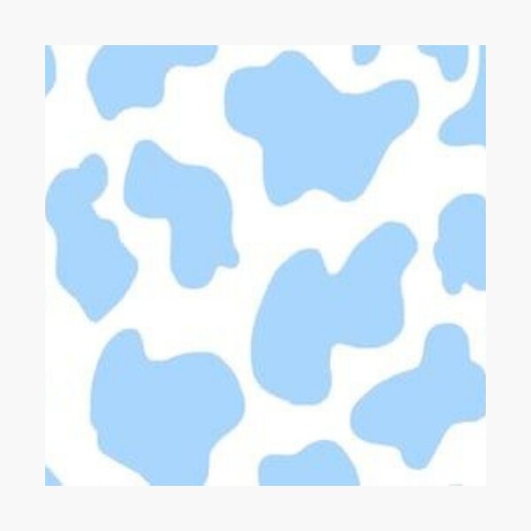 blue cow print wallpaper  Cow wallpaper, Cow print wallpaper, Cute blue  wallpaper