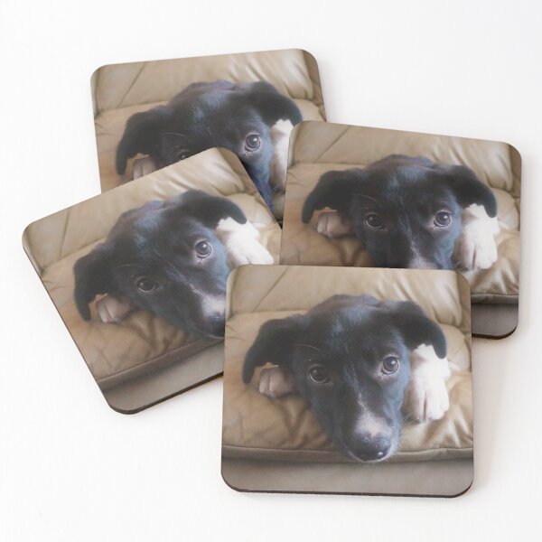 Item preview, Puppy Dog designed and sold by Desiree's Photography .