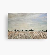 Cloudy Delta Canvas Print