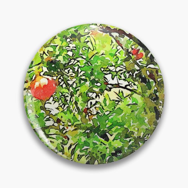 Item preview, Hortus Conclusus: pomegranate tree designed and sold by Giuseppe Cocco.