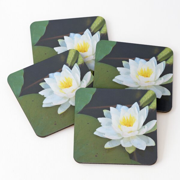 Item preview, Lily Pad  designed and sold by Desiree's Photography .