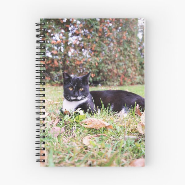 Artikelvorschau, Katze im Gras entworfen und verkauft von Desiree's Photography .
