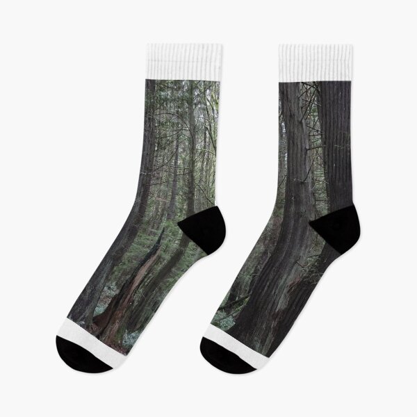 Item preview, Forest landscape  designed and sold by Tess Browning.
