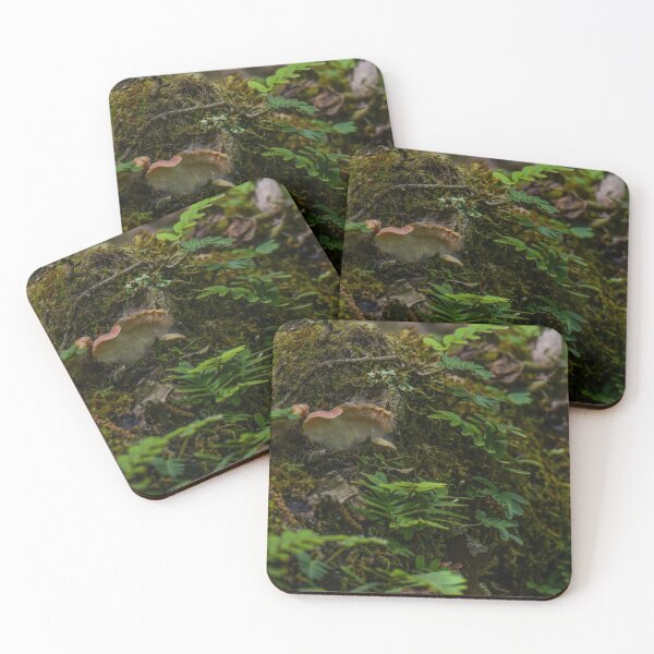Item preview, fern mossy log in a forest designed and sold by aim4adventure.