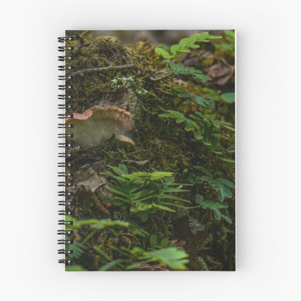 Item preview, fern mossy log in a forest designed and sold by aim4adventure.