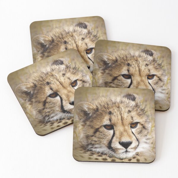 Item preview, Cheetah Cub designed and sold by Phil Le Cren.