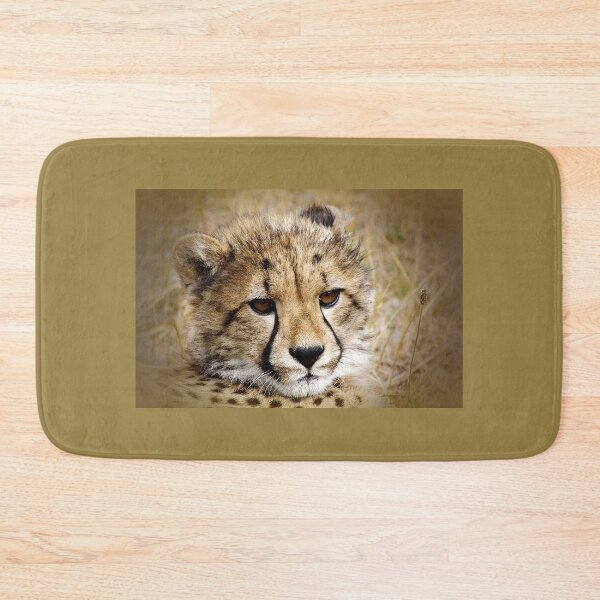 Aperçu de l'œuvre Guépard Cub créée et vendue par Phil Le Cren.